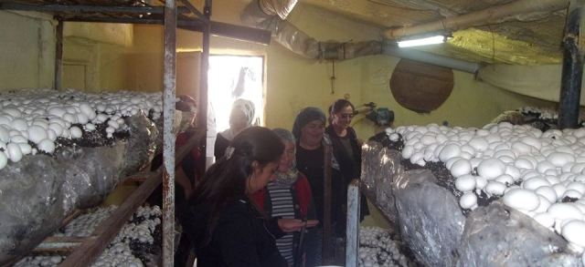 YENİŞARBADEMLİ'DEN SARIİDRİS'E ZİYARET
