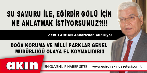 eğirdir haber,akın gazetesi,egirdir haberler,son dakika,SU SAMURU İLE, EĞİRDİR GÖLÜ İÇİN NE ANLATMAK İSTİYORSUNUZ?!!!