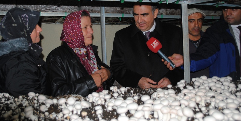 SARIİDRİS'TE 