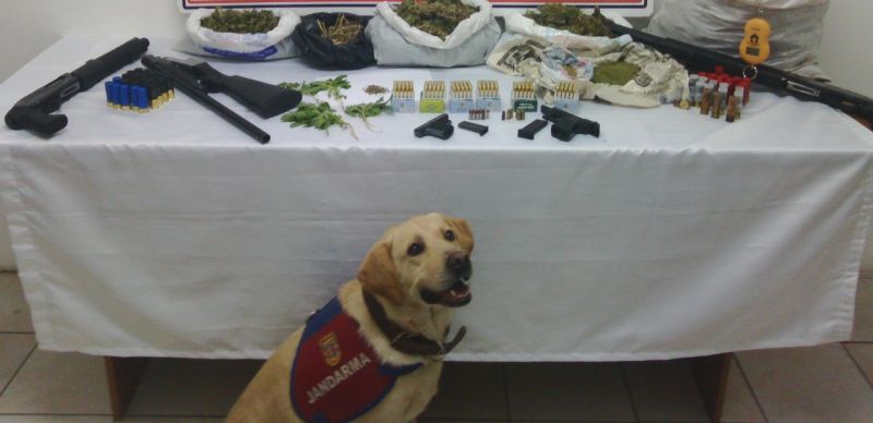 Jandarmadan Uyuşturucu Operasyonu