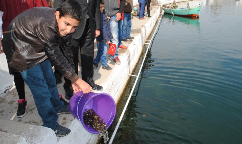 eğirdir haber,akın gazetesi,egirdir haberler,son dakika,2014 Yılında Eğirdir Gölü&#39;ne  500 bin balık yavrusu bırakıldı
