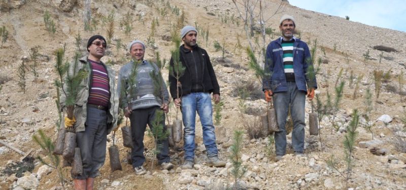 EĞİRDİR'E ON BİN ÇAM FİDANI DİKİLECEK
