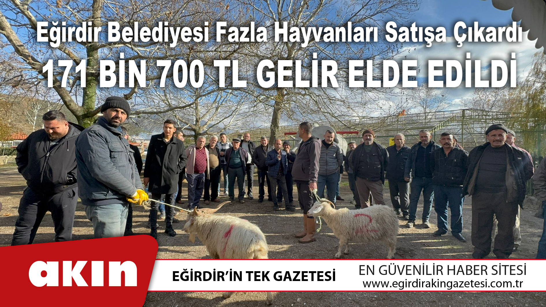 eğirdir haber,akın gazetesi,egirdir haberler,son dakika,Eğirdir Belediyesi Fazla Hayvanları Satışa Çıkardı