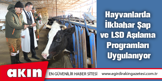 Hayvanlarda İlkbahar Şap ve LSD Aşılama Programları Uygulanıyor
