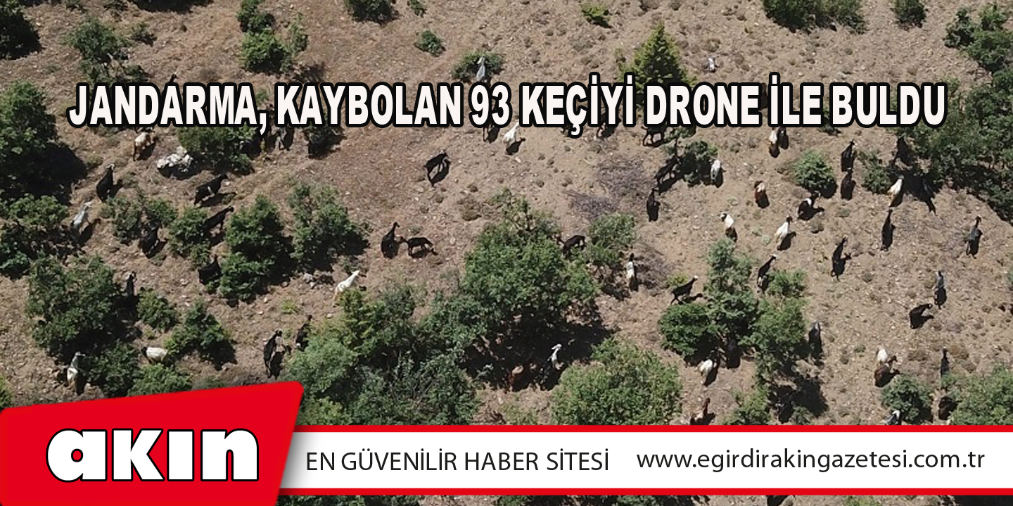 eğirdir haber,akın gazetesi,egirdir haberler,son dakika,Jandarma, Kaybolan 93 Keçiyi Drone İle Buldu