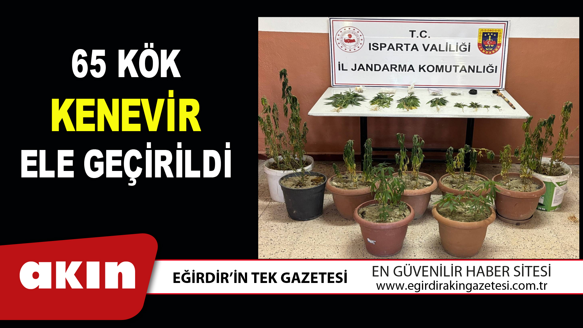 65 KÖK KENEVİR ELE GEÇİRİLDİ