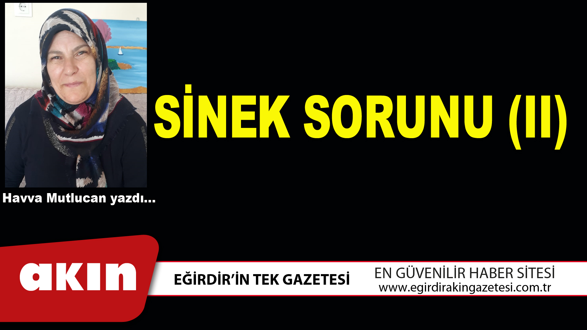 eğirdir haber,akın gazetesi,egirdir haberler,son dakika,SİNEK SORUNU (II)