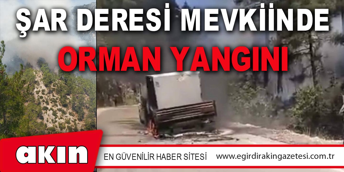 ŞAR DERESİ MEVKİİNDE ORMAN YANGINI