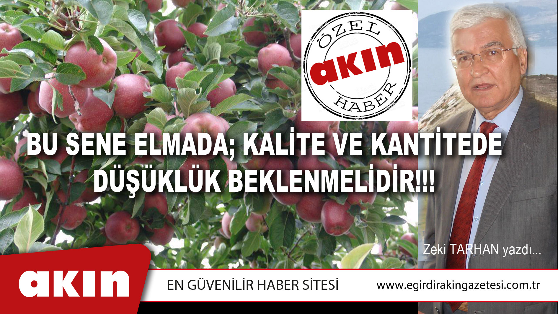 BU SENE ELMADA; KALİTE VE KANTİTEDE DÜŞÜKLÜK BEKLENMELİDİR!!!