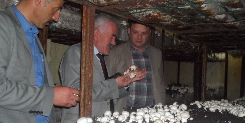 MHP İl Genel Meclis Üyelerinden Sarıidris'e Ziyaret