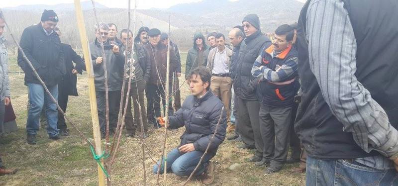 Eğirdir MARİM Bolu-Seben'de Budama Eğitimi Verdi