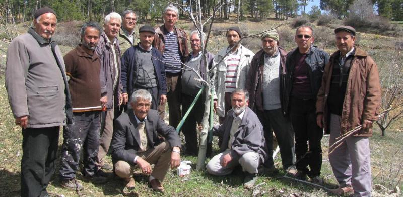 Eğirdir MARİM Denizli'de  Ceviz yetiştiriciliği Eğitiminde