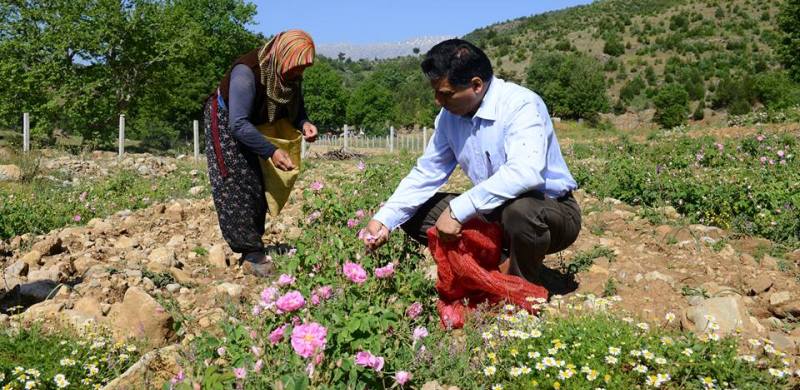 MHP Milletvekili Adayı Okutan Sütçüler'de...