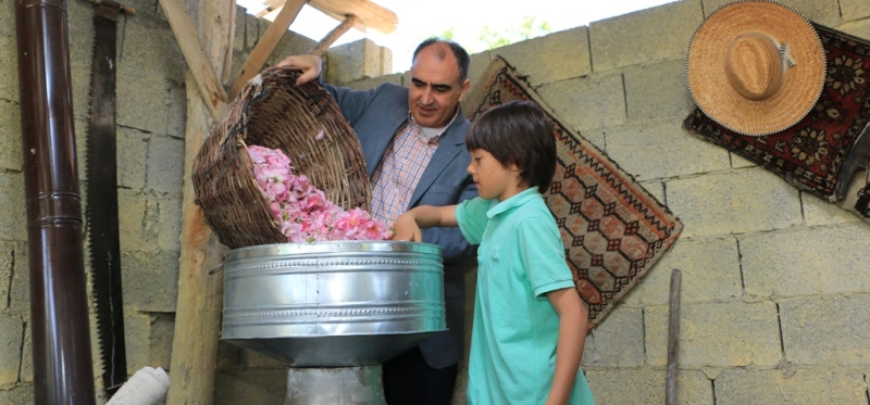 VALİ ÖZKAN GÜL HASADINA KATILDI