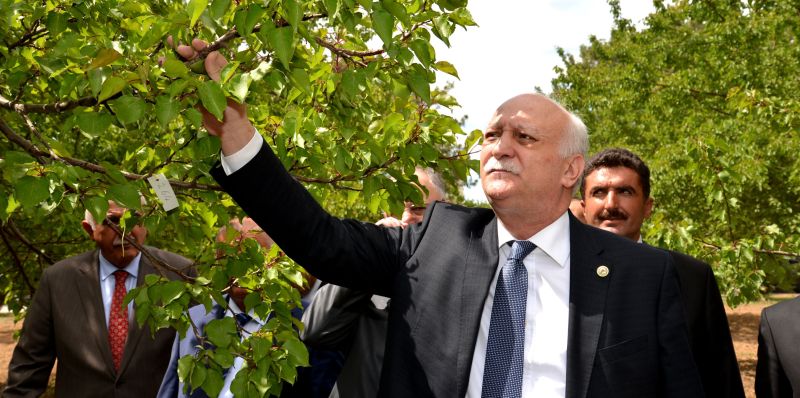 Kayısıyı bu yıl da don vurdu...