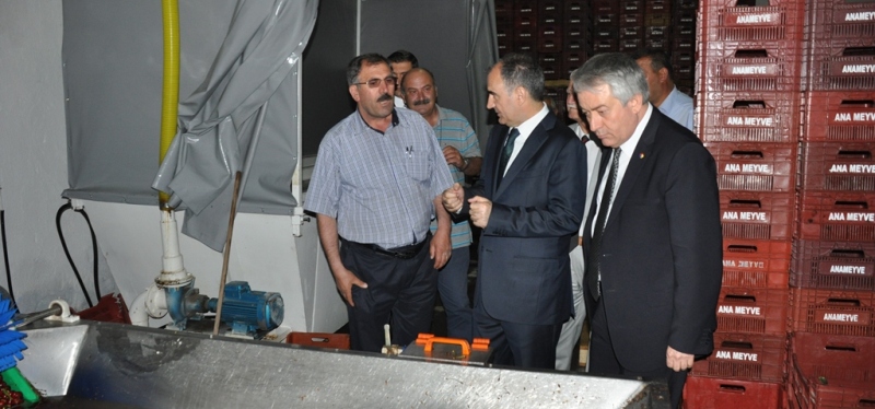 ISPARTA'DA  KİRAZ İHRACAT  SEZONU AÇILDI