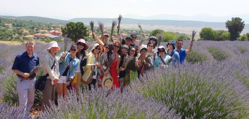 Turistler, lavanta ve kiraz toplamak için Isparta'ya geliyor