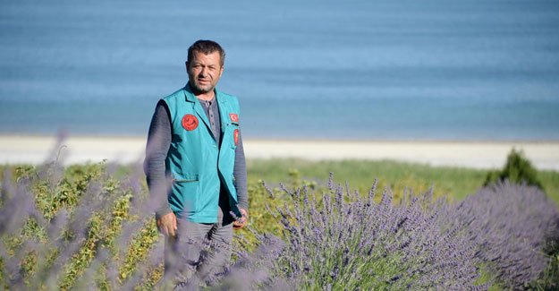 Burdur ve Salda göllerini lavantalar kurtaracak