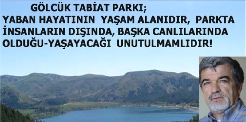 EROL KESİCİ: 