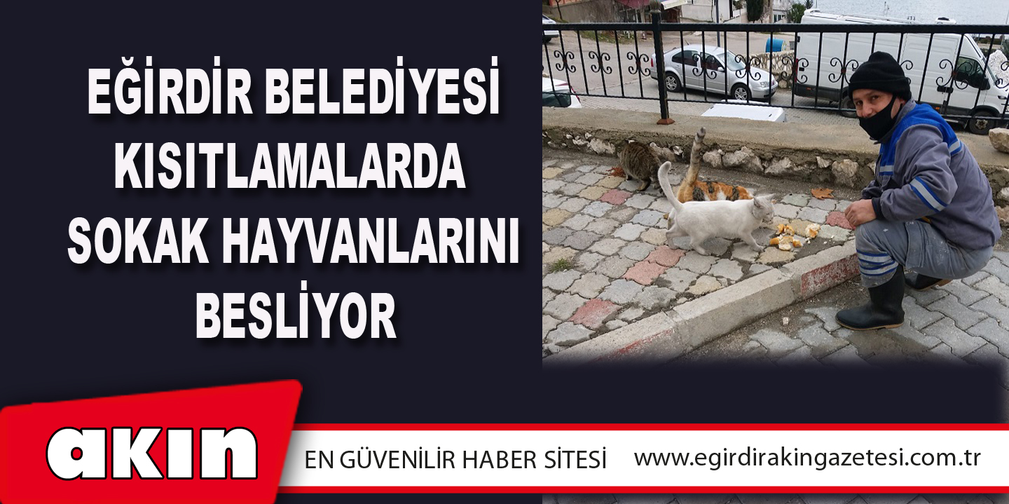 Eğirdir Belediyesi Kısıtlamalarda Sokak Hayvanlarını Besliyor