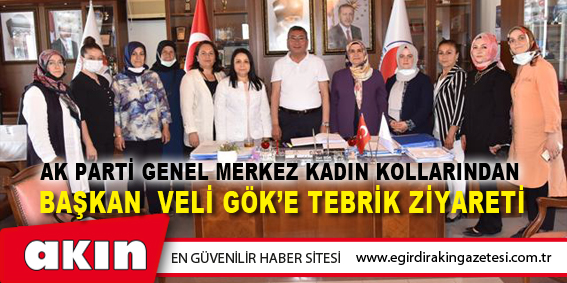 Ak Parti Genel Merkez Kadın Kollarından  Başkan Veli Gök’e Tebrik Ziyareti 