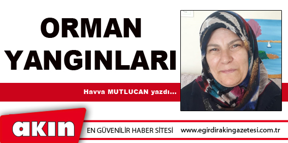 eğirdir haber,akın gazetesi,egirdir haberler,son dakika,ORMAN YANGINLARI