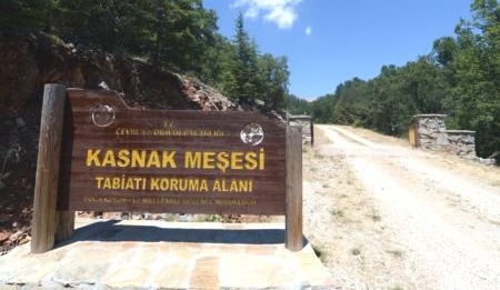 Yeterince tanınmıyor ama...