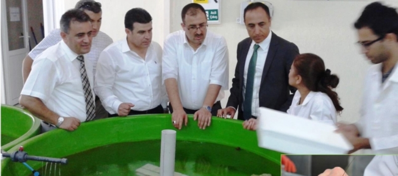 TARIMDA DURUM TESBİTİ TOPLANTISI YAPILDI