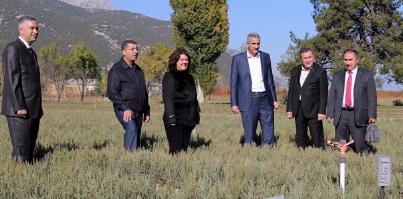 Eğirdir Orman Fidanlık Müdürlüğünden Türkmenistan'a Fidan Gönderilecek...