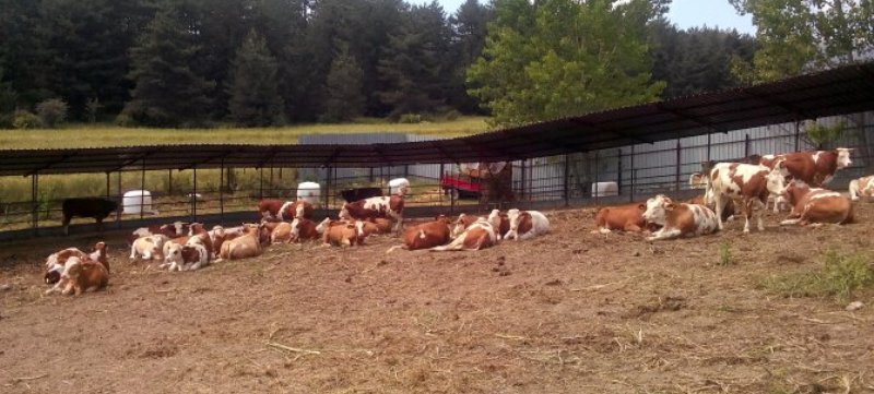 eğirdir haber,akın gazetesi,egirdir haberler,son dakika,Isparta&#39;da Karantina