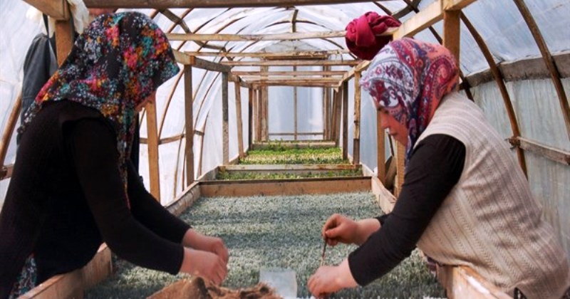 eğirdir haber,akın gazetesi,egirdir haberler,son dakika,Eğirdir Fidanlık Müdürlüğü Yeni Sezona Hazır