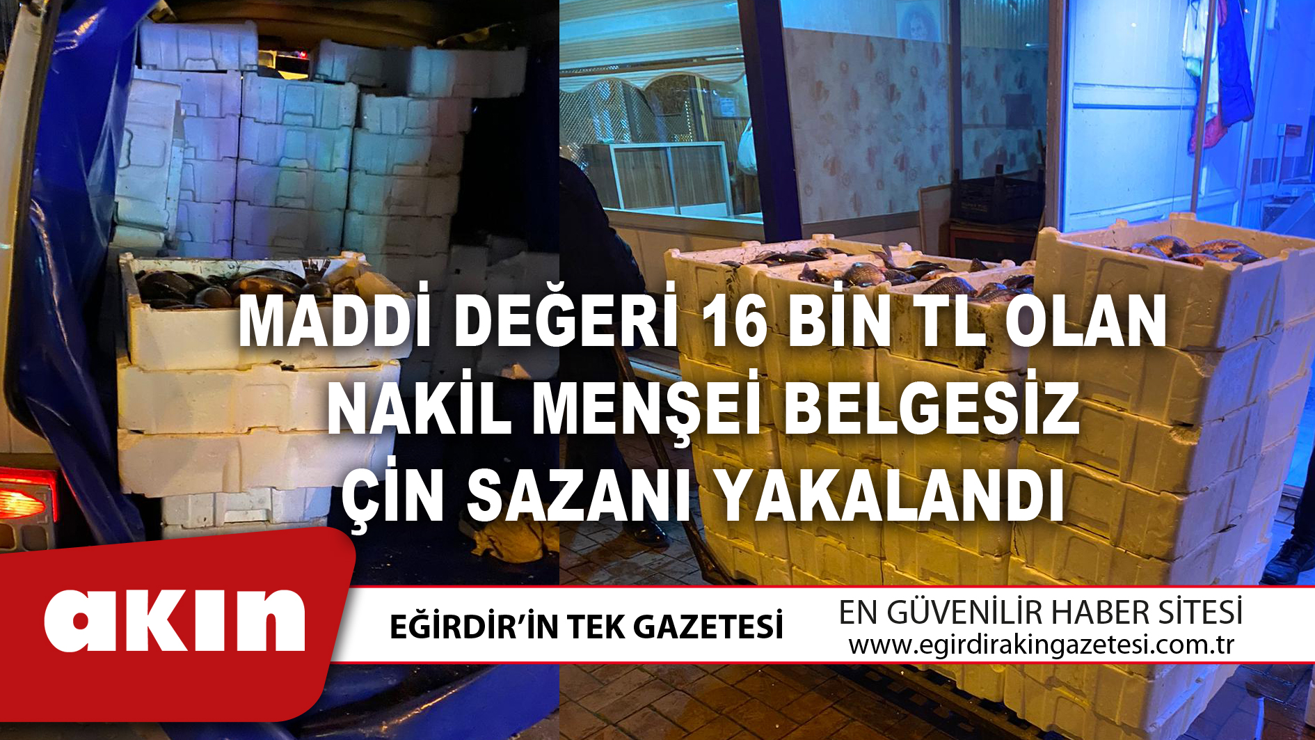 MADDİ DEĞERİ 16 BİN TL OLAN NAKİL MENŞEİ BELGESİZ ÇİN SAZANI YAKALANDI