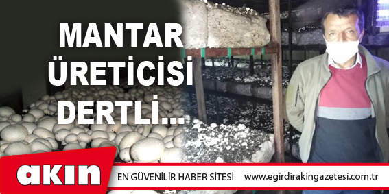 Mantar Üreticisi Dertli...