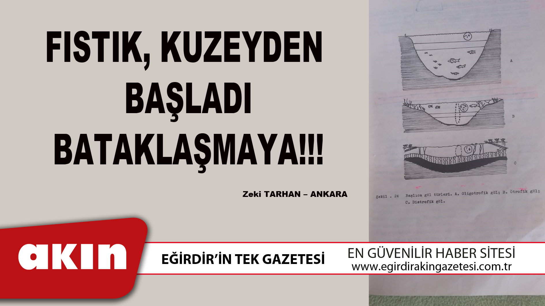 eğirdir haber,akın gazetesi,egirdir haberler,son dakika,FISTIK, KUZEYDEN BAŞLADI BATAKLAŞMAYA!!!