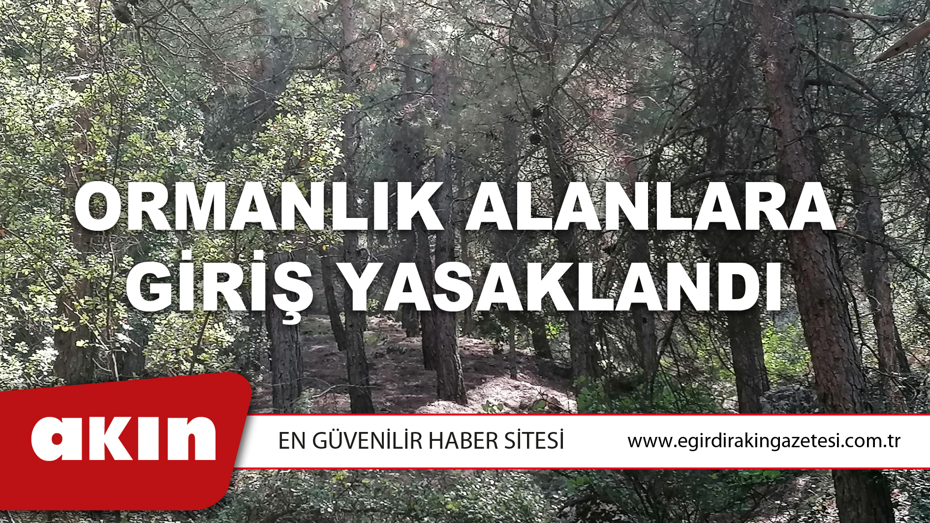 Ormanlık Alanlara Giriş Yasaklandı