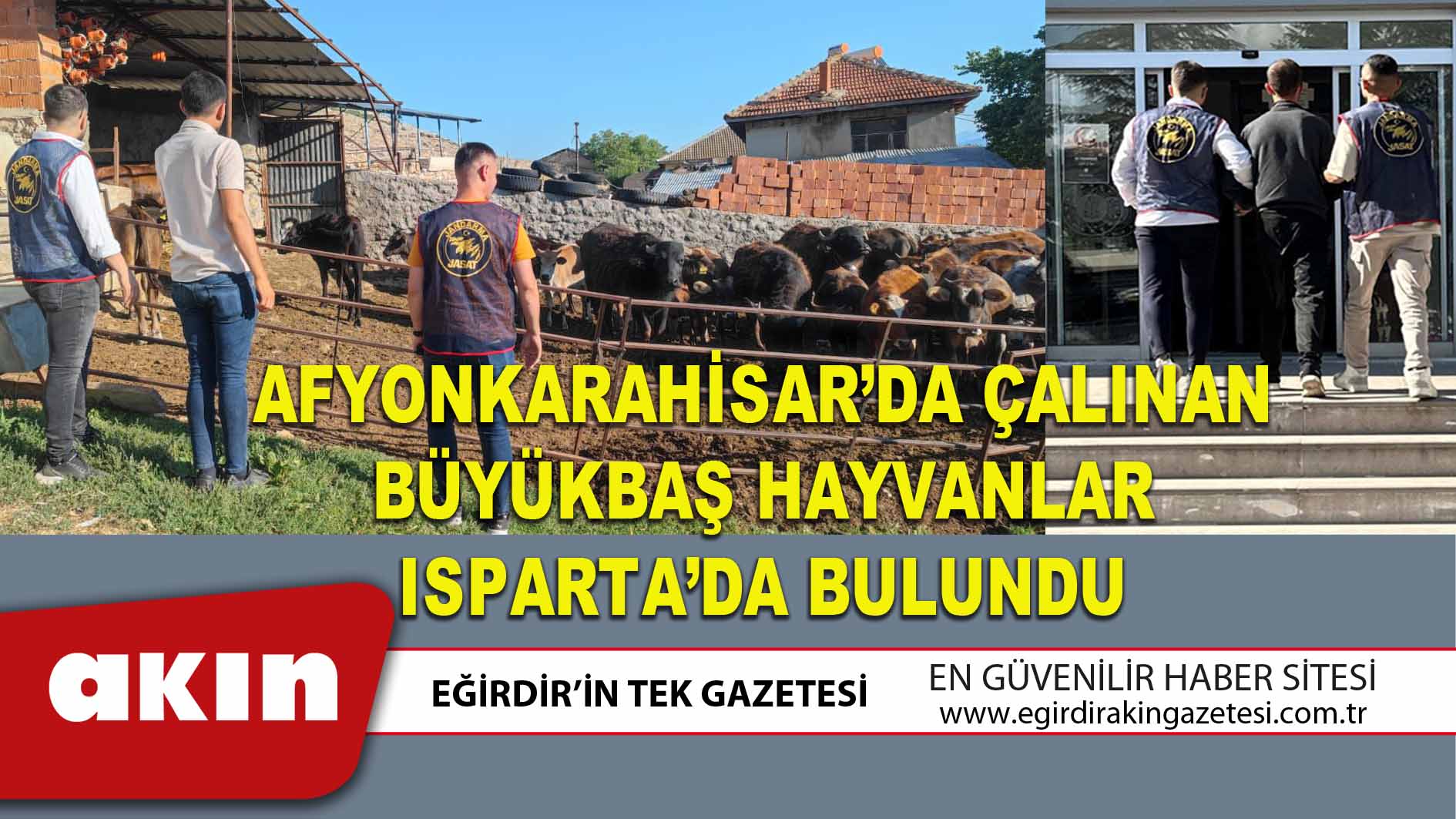 eğirdir haber,akın gazetesi,egirdir haberler,son dakika,AFYONKARAHİSAR’DA ÇALINAN BÜYÜKBAŞ HAYVANLAR ISPARTA’DA BULUNDU
