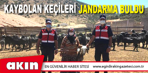Kaybolan Keçileri Jandarma Buldu