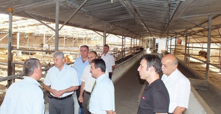 ET ve SÜT KURUMU İLE SÖZLEŞMELİ BESİCİLİK DÖNEMİ BAŞLIYOR