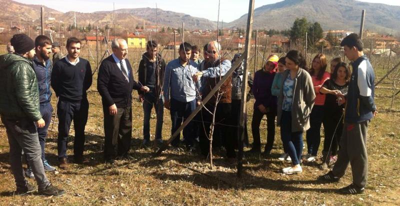 EĞİRDİR MAREM BOLU'DA...