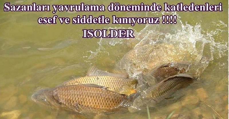 Çandır'da büyük operasyon