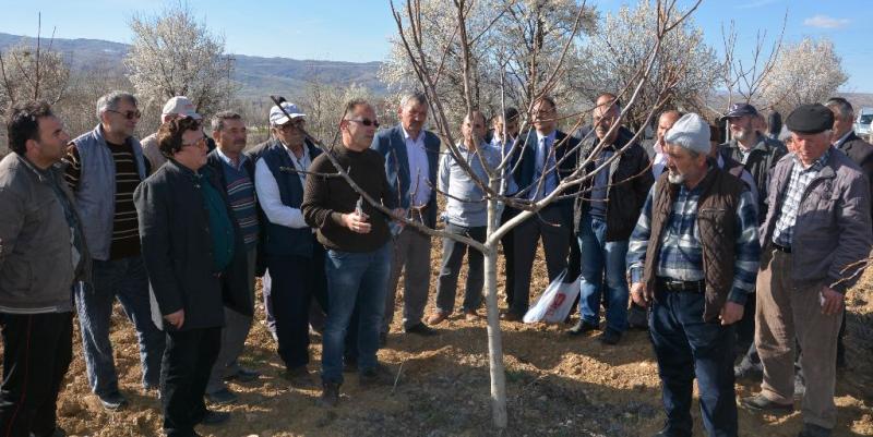 Eğirdir MAREM Çankırı'lı Çiftçilere Ilıman İklim Meyve Yetiştiriciliği Eğitimi Verdi