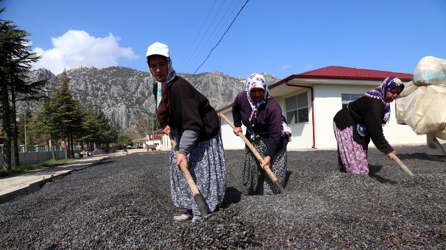 Eğirdir Fidanlığına İşçi Alınacak...