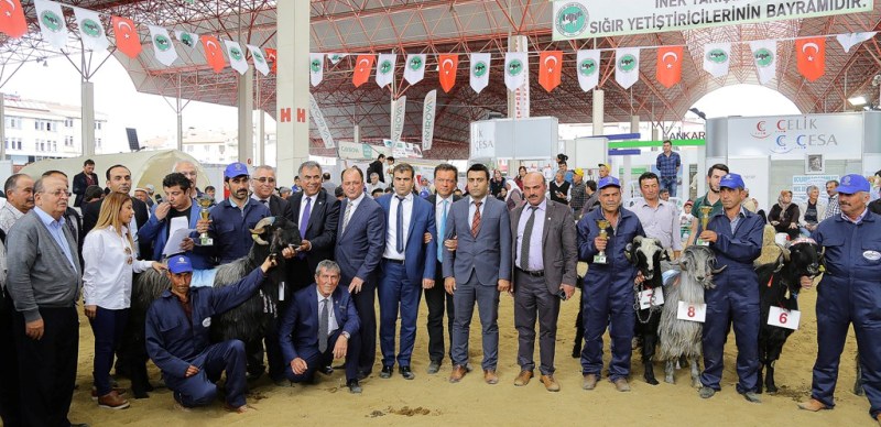 Güzeller görücüye çıktı