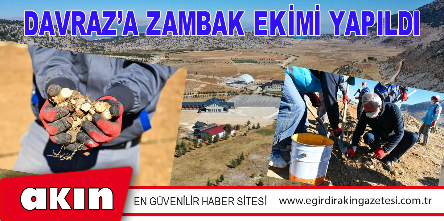 DAVRAZ’A ZAMBAK EKİMİ YAPILDI