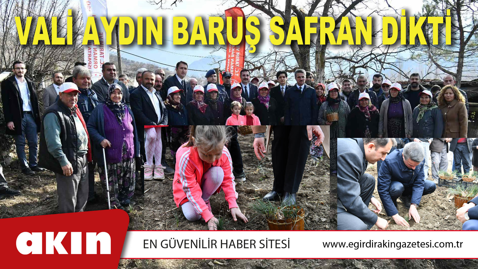 VALİ AYDIN BARUŞ SAFRAN DİKTİ