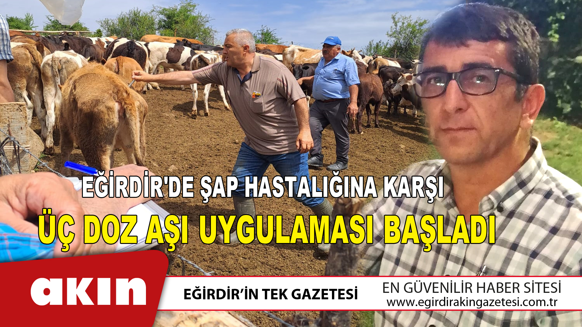 Eğirdir'de Şap Hastalığına Karşı  Üç Doz Aşı Uygulaması Başladı