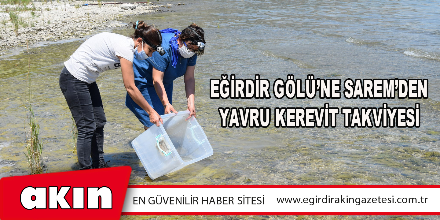 EĞİRDİR GÖLÜ’NE SAREM’DEN YAVRU KEREVİT TAKVİYESİ