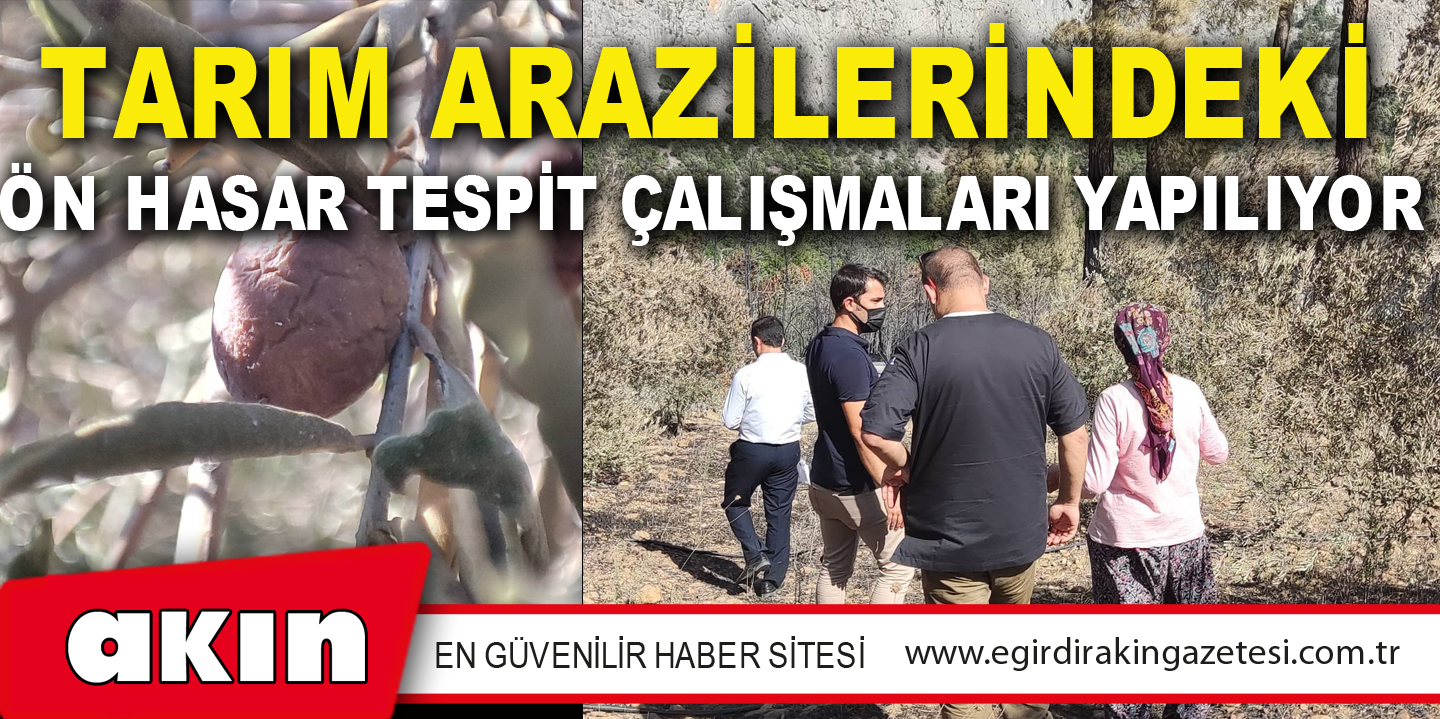 Tarım Arazilerindeki Ön Hasar Tespit Çalışmaları Yapılıyor