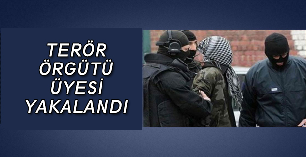 Terör Örgütü Üyesi Yakalandı