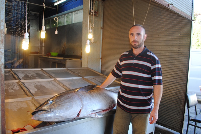 Eğirdir Balık Hali'ndeki 110 Kiloluk Orkinos Balığı Görenleri Şaşırttı